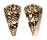 CONIDAE CONUS BANDANUS shell