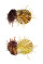 SPONDYLIDAE SPONDYLUS VARIEGATUS shell