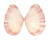 TELLINIDAE TELLINA VIRGATA shell