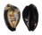 CYPRAEIDAE ERRONEA ONYX shell
