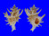 CORALLIOPHILIDAE BABELOMUREX WORMALDI shell