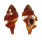 RANELLIDAE CYMATIUM BIBBEYI shell