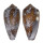 CONIDAE CONUS PENNACEUS TSARA shell