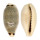 CYPRAEIDAE CYPRAEA QUADRIMACULATA shell