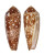 CONIDAE CONUS AURICOMUS shell