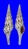 TURRIDAE TURRIS NORMANDAVIDSONI shell