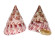 TROCHIDAE ROCHIA CONUS ELATA shell