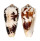 CONIDAE CONUS MAGUS shell
