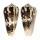 CONIDAE CONUS MAGUS shell