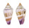 CONIDAE CONUS FLORIDULUS shell