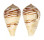 CONIDAE CONUS MERCATOR shell