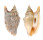STROMBIDAE STROMBUS ARATRUM shell