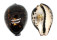CYPRAEIDAE CYPRAEA TIGRIS shell