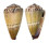 CONIDAE CONUS MUSTELINUS shell