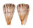 CONIDAE CONUS SURATENSIS shell