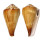 CONIDAE CONUS VEXILLUM shell