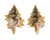 RANELLIDAE BIPLEX PULCHRA shell