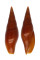 MITRIDAE MITRA PELE shell