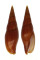 MITRIDAE MITRA PELE shell