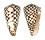 CONIDAE CONUS MARMOREUS shell
