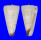 CONIDAE CONUS THALASSIARCHUS shell
