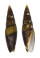MITRIDAE FUSIFORMIS ZONATA shell