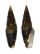 MITRIDAE FUSIFORMIS ZONATA shell