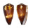 CONIDAE CONUS FERRUGINEUS shell