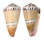 CONIDAE CONUS MUSTELINUS shell