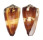 CONIDAE CONUS FERRUGINEUS shell