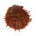 SPONDYLIDAE SPONDYLUS SWINNENI shell