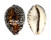 CYPRAEIDAE CYPRAEA TIGRIS shell