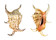 STROMBIDAE LAMBIS CHIRAGRA shell