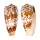 CONIDAE CONUS STRIATUS shell