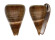 CONIDAE CONUS LOROISII INSIGNIS shell