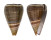 CONIDAE CONUS LOROISII INSIGNIS shell