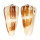 CONIDAE CONUS MAGUS RAPHANUS shell