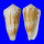 CONIDAE CONUS MAGUS RAPHANUS shell
