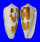 CONIDAE CONUS MAGUS RAPHANUS shell