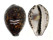 CYPRAEIDAE CYPRAEA TIGRIS shell