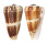 CONIDAE CONUS MAGUS RAPHANUS shell