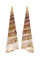 TURITELLIDAE TURITELLA FASCIALIS shell