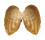 FRESHWATER SCABIES CHINENSIS shell