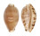 CYPRAEIDAE PALMADUSTA CONTAMINATA shell
