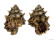 BURSIDAE BURSA LAMARCKI shell