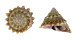 TURBINIDAE ASTRALIUM HAEMATRAGUM shell