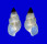 LITIOPIDAE DIFFALABA PICTA shell
