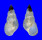 LITIOPIDAE DIFFALABA PICTA shell