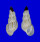 LITIOPIDAE DIFFALABA PICTA shell