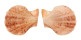 PECTINIDAE SCAEOCHLAMYS SQUAMATA shell